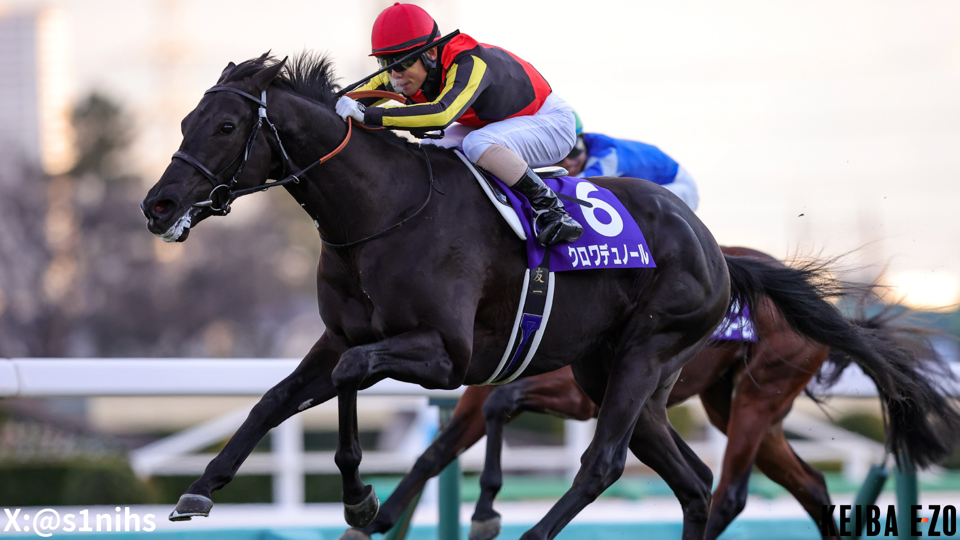 POG 2025-26 #3】キタサンブラック産駒注目馬6選！前シーズンのクロワ 