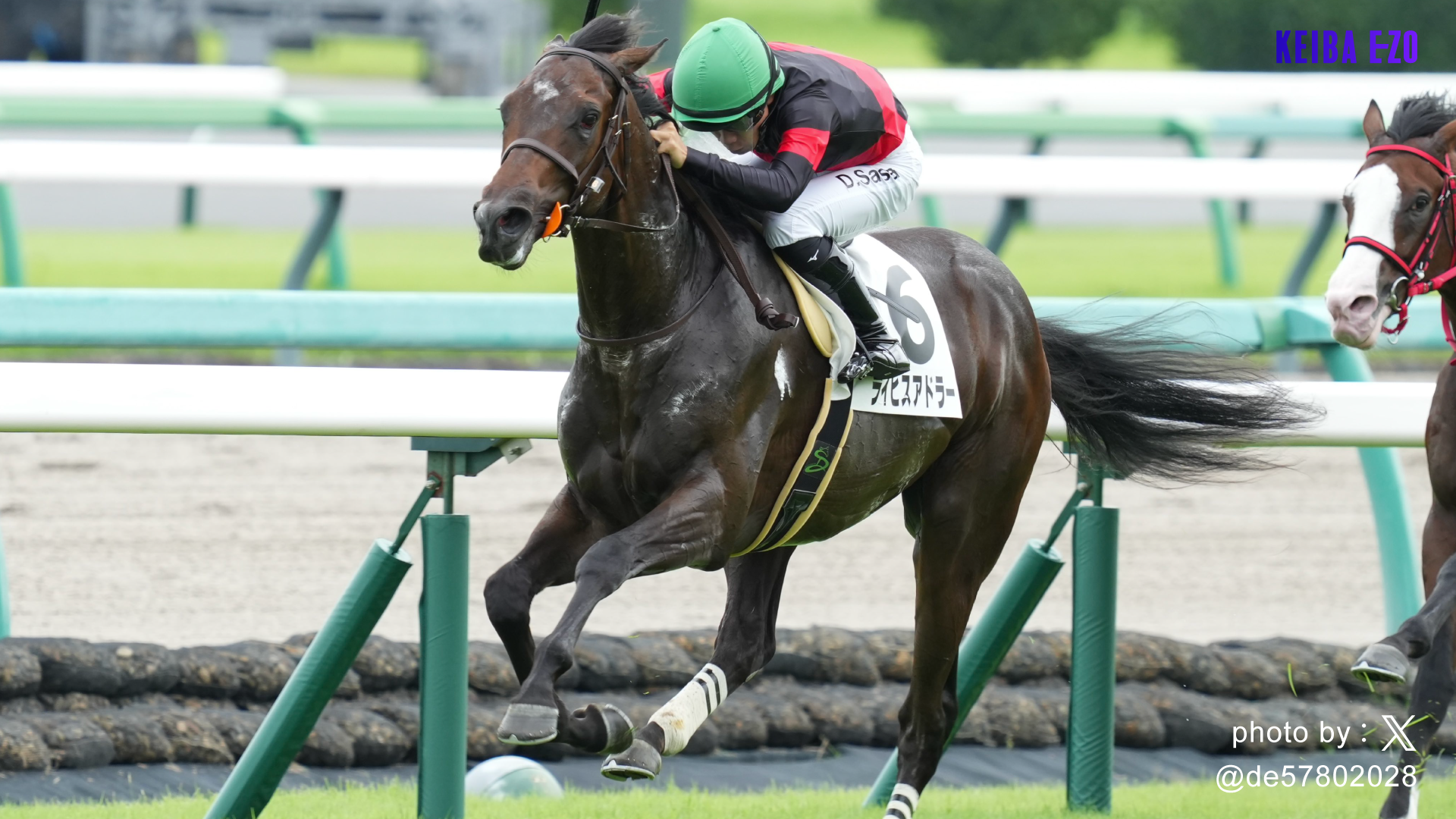 POG勝ち馬チェック】
