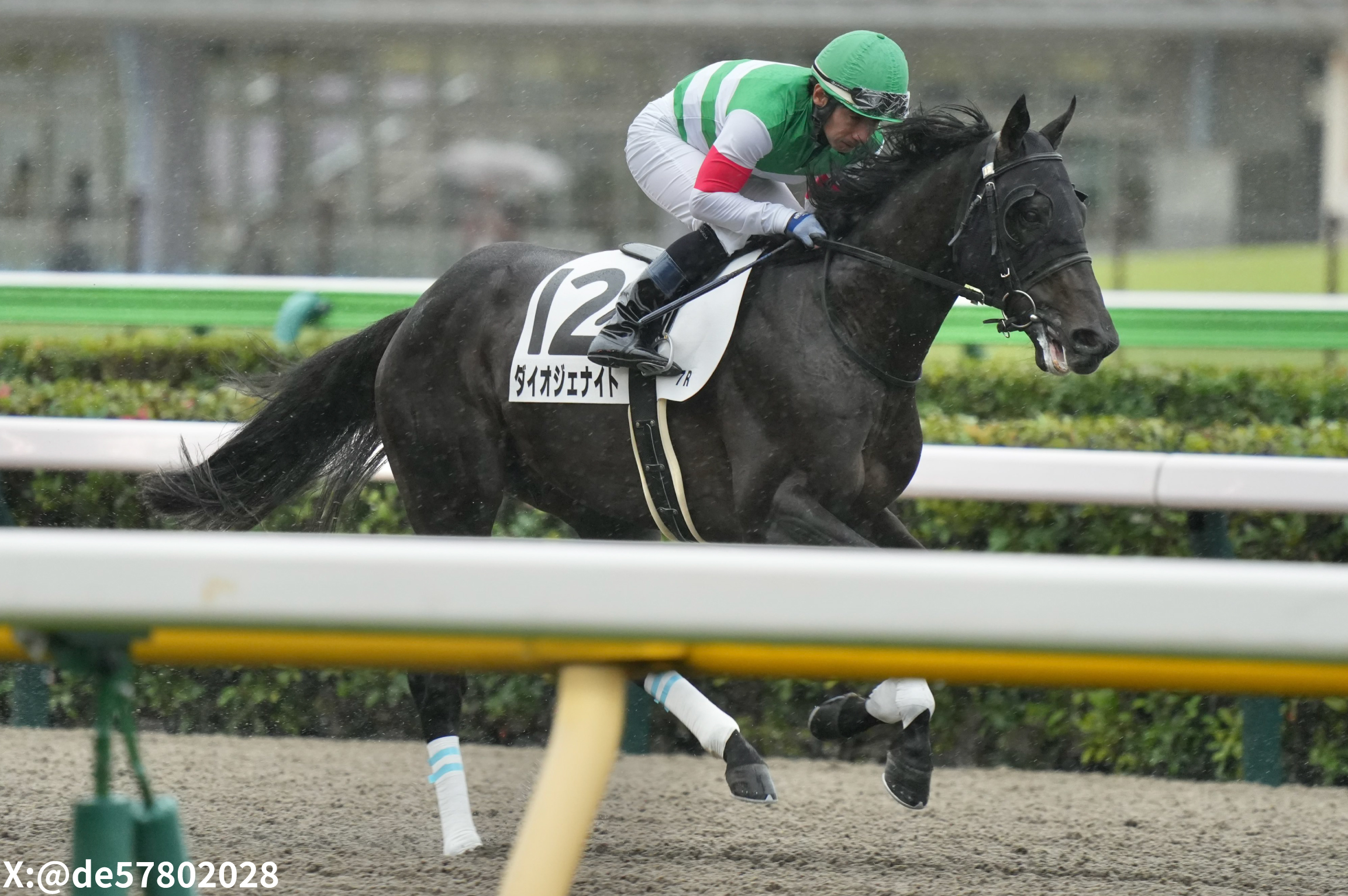 NWA7831ダイオジェナイト5.1g KEIBA EZO(ケイバイーゾ) - 競馬情報ポータルサイト | KEIBA EZO