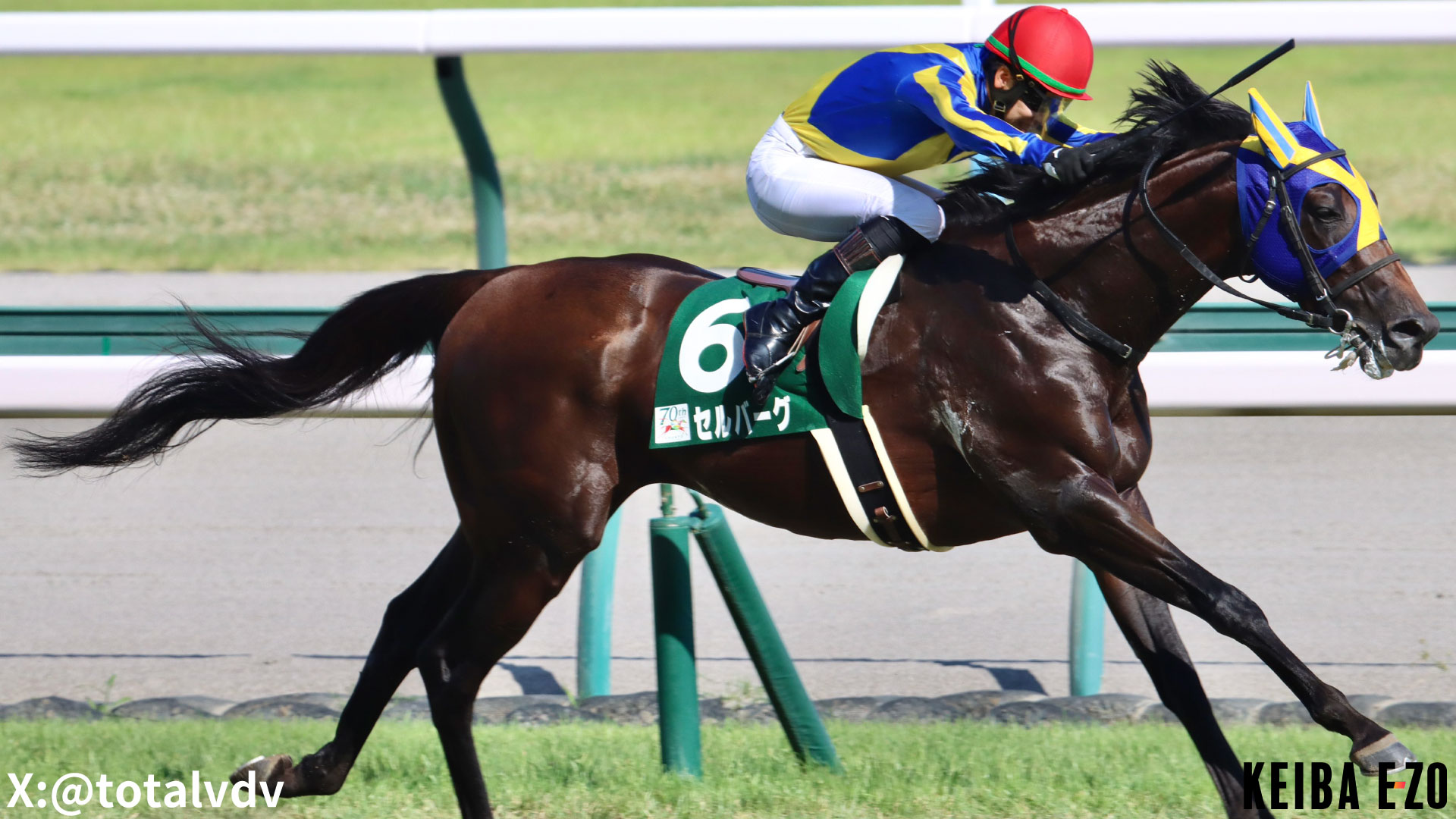 中京記念 想定オッズ 2024年07月21日 小倉11R KEIBA EZO(ケイバイーゾ)