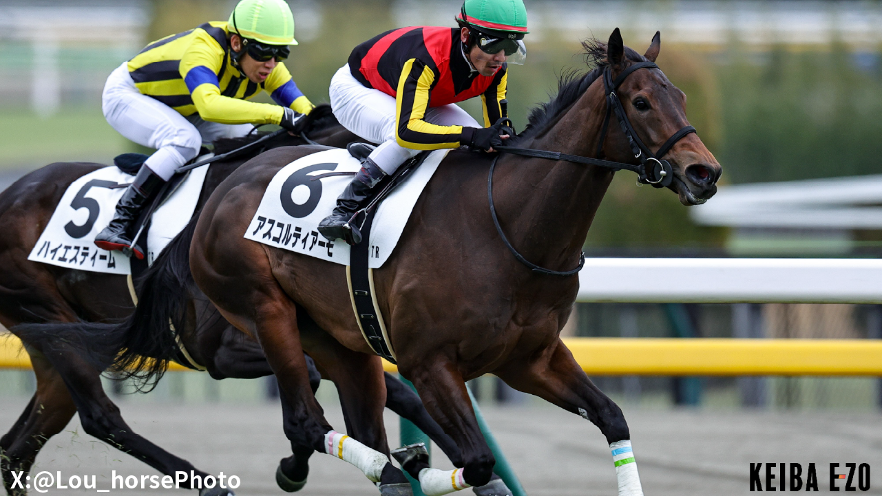 競馬パネル：トウショウボーイ「1977年 第7回高松宮杯」※白黒４角 hq720.jpg?sqp=-