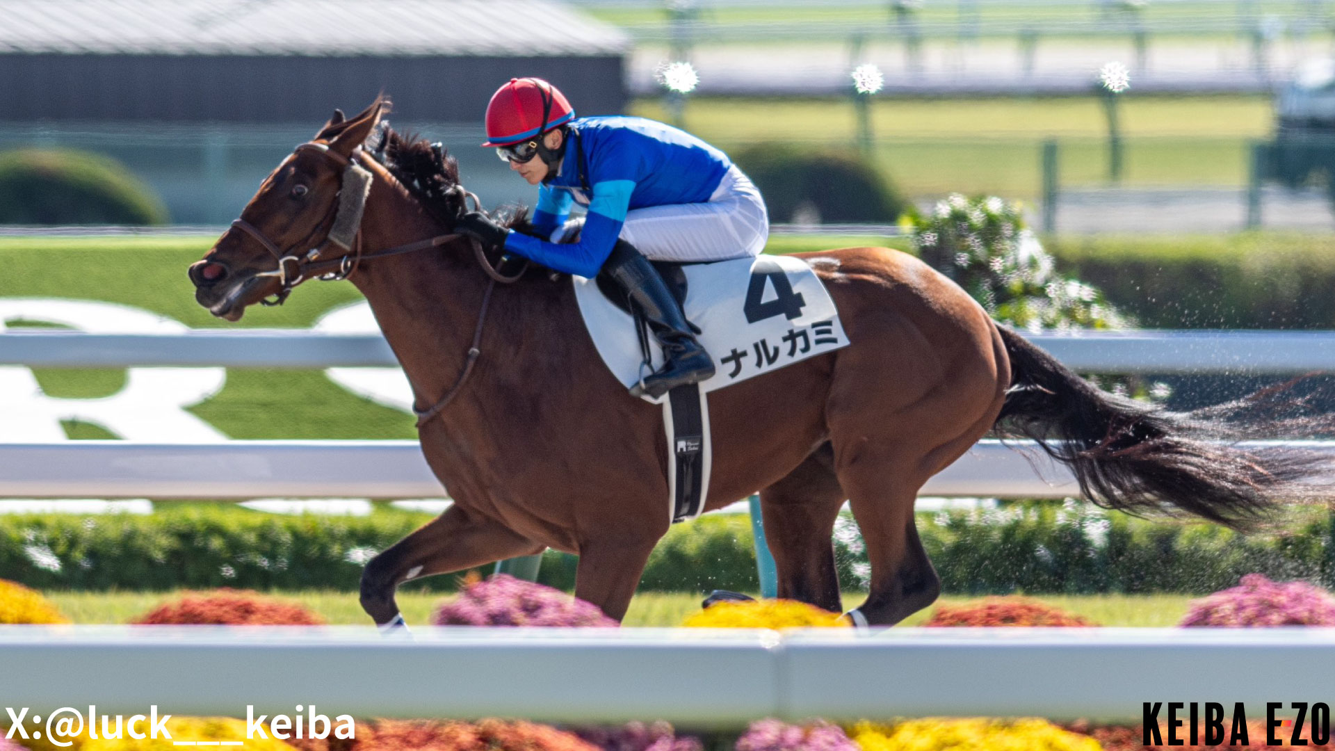 KEIBA EZO(ケイバイーゾ) - 競馬情報ポータルサイト | KEIBA EZO
