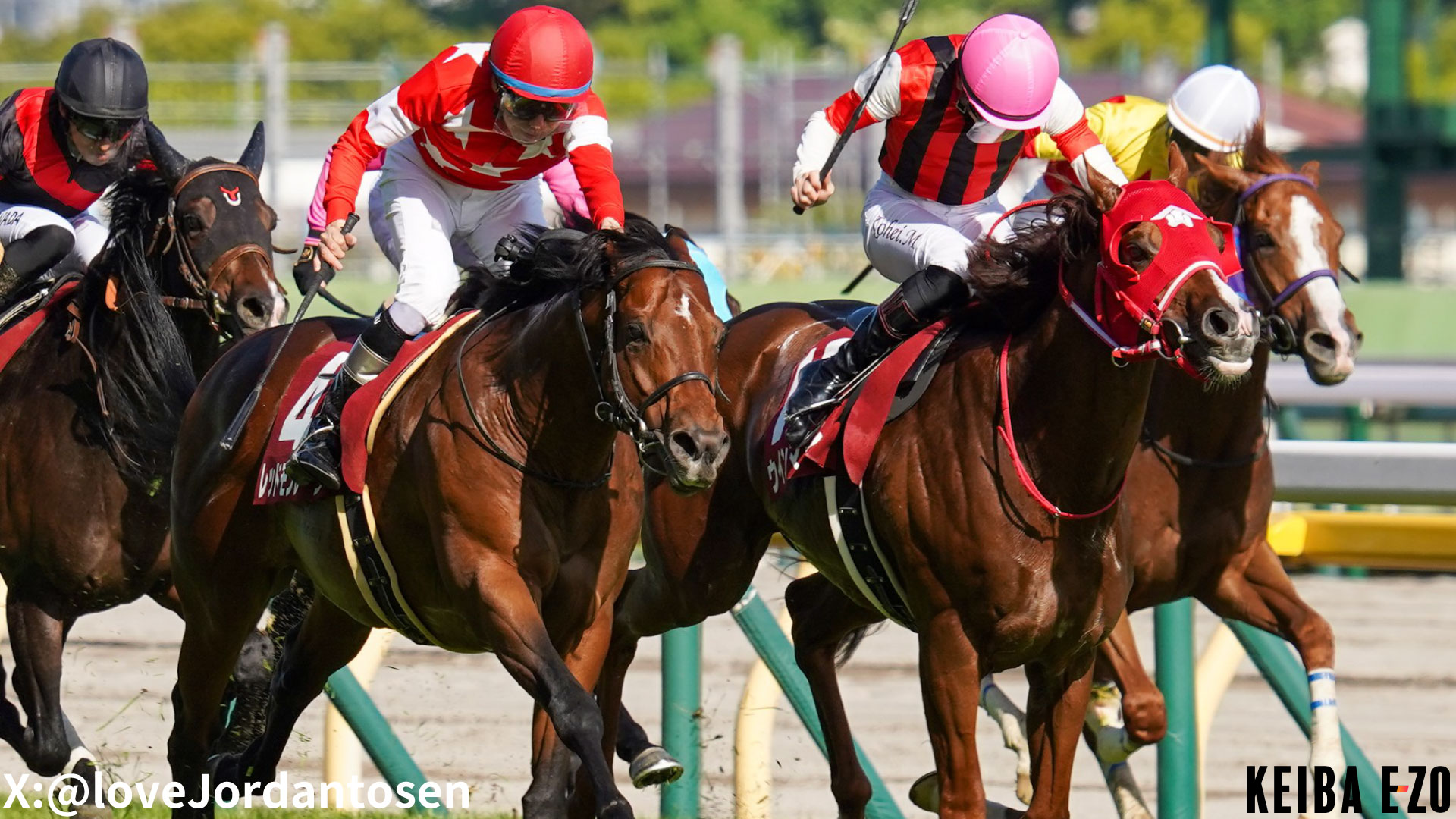 京王杯スプリングカップ オッズ（単勝・複勝） | 2025年5月03日