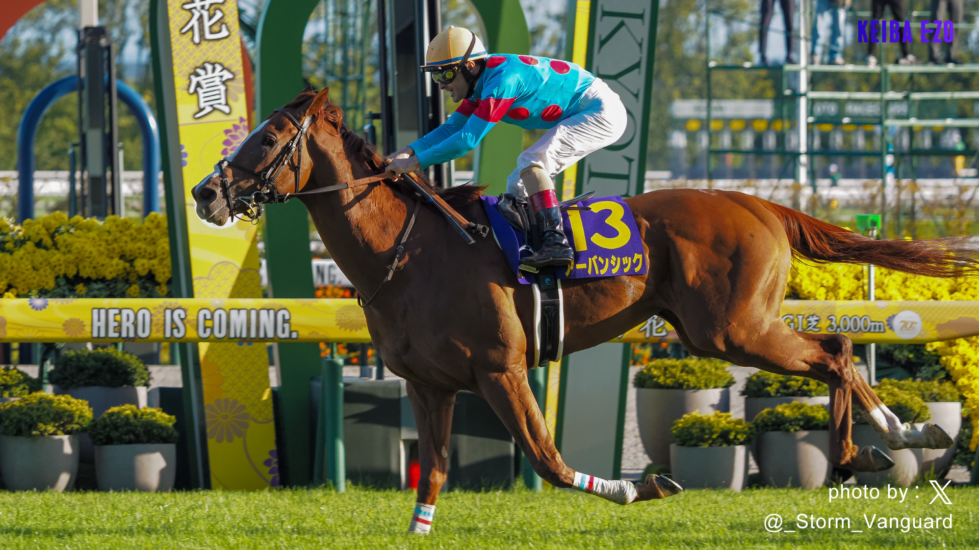 クロワデュノール 新馬戦 的中馬券(期限切れ) クロワデュノール 新馬戦 的中馬券(期限切れ) JRA】期待の3歳馬