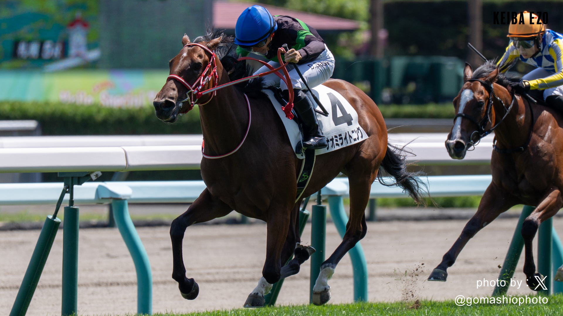POG勝ち馬チェック】1.7億円の高額馬！矢作厩舎のコントレイル産