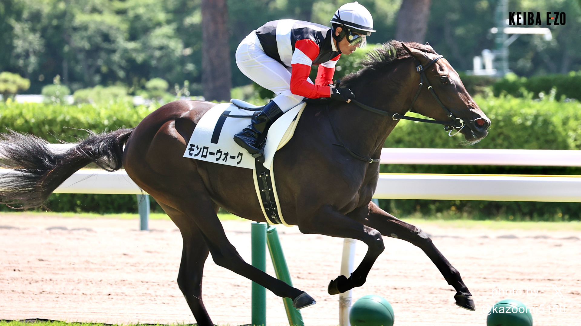 レア　かみのやま競馬マッチ　2つ PUMA プーマ ジュニア キング マッチ TT +Mid Jr(ライトブルー