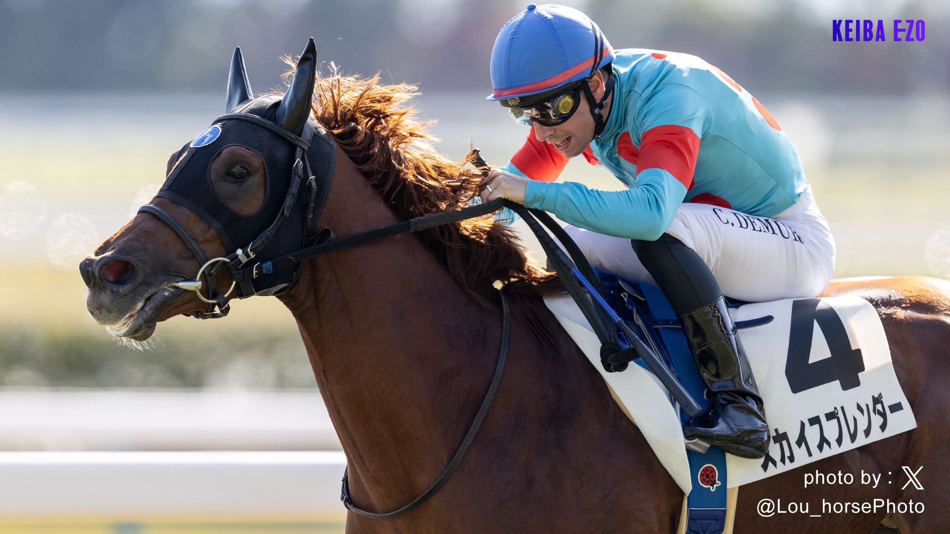 POG勝ち馬チェック】名牝ジェンティルドンナの孫が